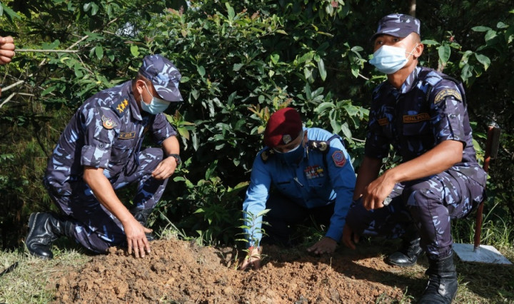 केन्द्रीय प्रहरी विशेष कार्यदल कपन परिसरभित्र वृक्षरोपण सम्पन्न