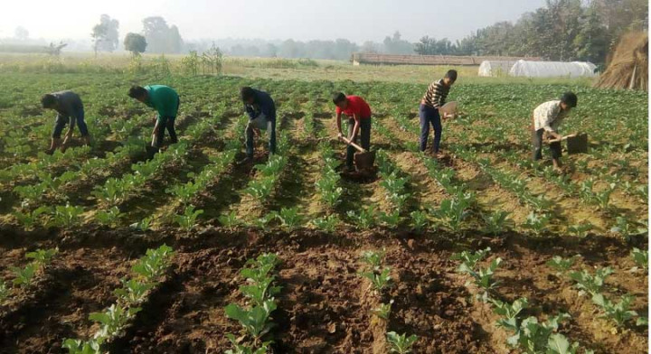 कृषिमा लगानी वृद्धि गर्न माग