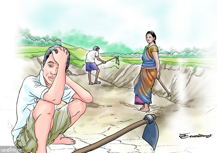 जलवायु परिवर्तनको असर कृषिमा