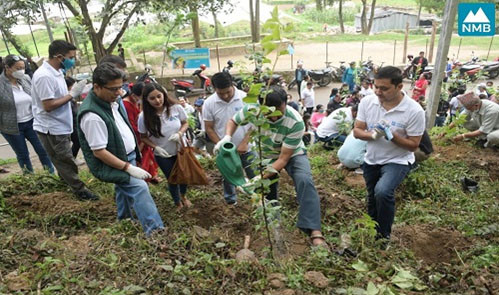 एनएमबी बैंकद्वारा नागार्जुनमा वृक्षारोपण, वातावरण सरंक्षणमा जोड