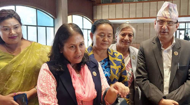 उपसभामुखमा एमालेबाट विद्या भट्टराईको उम्मेदवारी