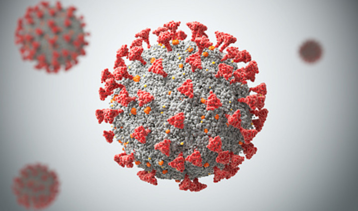 २४ घण्टामा २३ जनामा कोरोना संक्रमण पुष्टि, देशभर ८९९ जना सक्रिय संक्रमित
