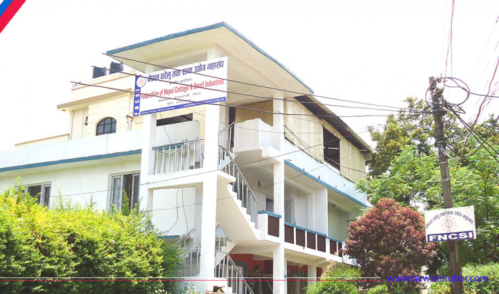 ‘नीति तथा कार्यक्रम समग्रमा सकारात्मक’