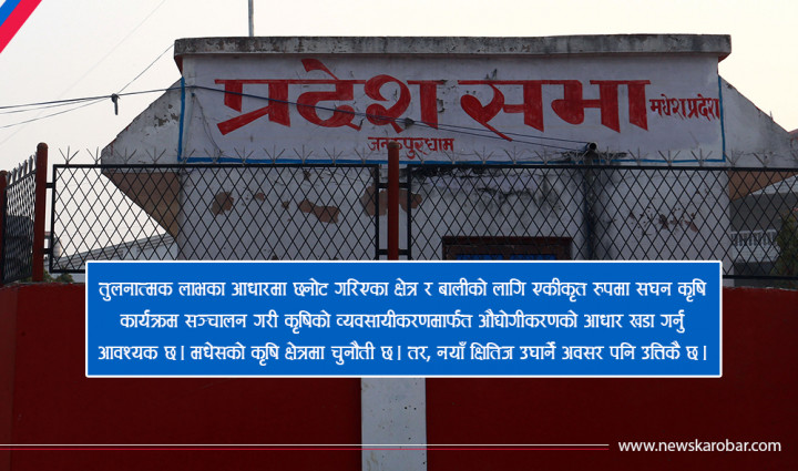 मधेस प्रदेशको कृषि : १२ चुनौती, ८ सम्भावना