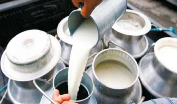 दूधमा आत्मनिर्भर बन्दै गण्डकी, प्रतिदिन ६५ हजार लिटर दूध उत्पादन