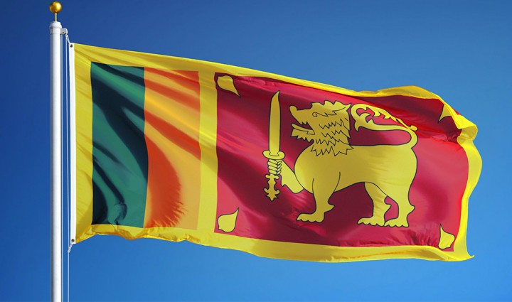 आर्थिक संकटसँग जुध्न श्रीलंकामा १७ मन्त्री नियुक्त