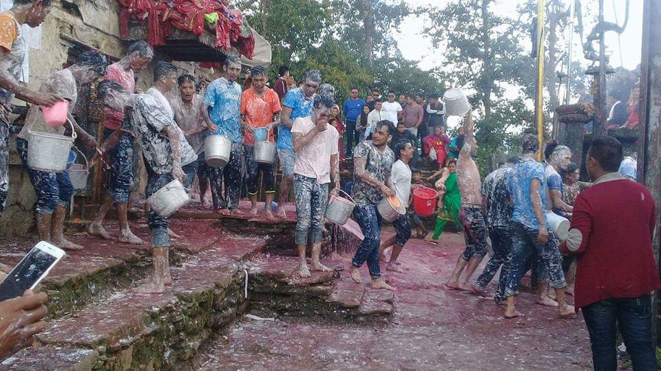 कास्कीकोटमा दहीको होली