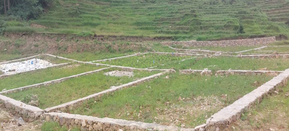 सरकारी बैंकको भवन–जग्गा प्रयोगविहीन