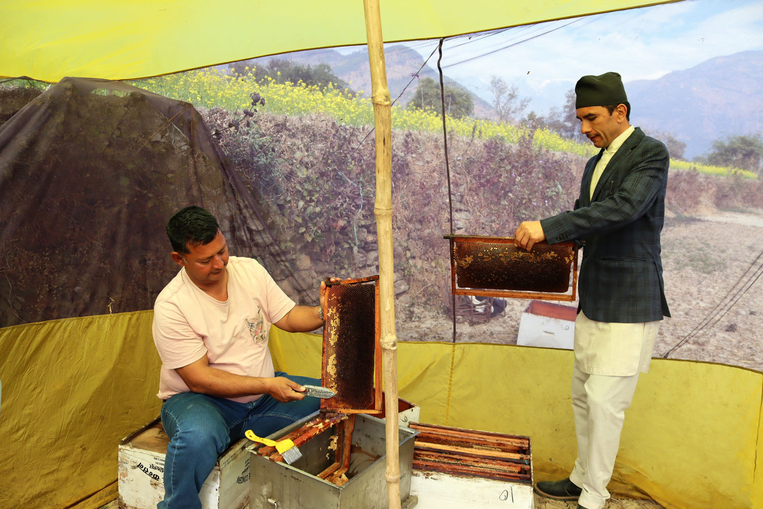 मौरी पालनबाट एक हप्तामा तीन लाख आम्दानी