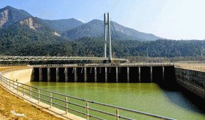 रानी जमराको कछुवा चाल रानी जमराको कछुवा चाल
