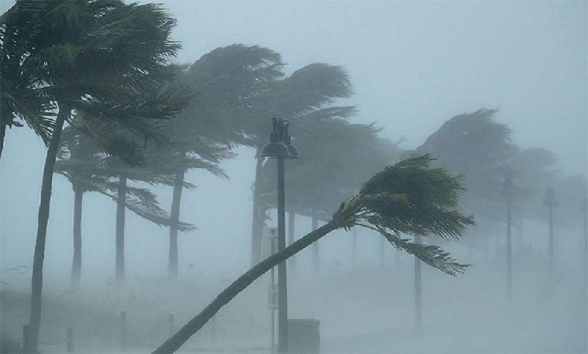 तराईमा मेघ गर्जनसहित विनाशकारी हावाहुरीः अन्नबालीमा असर