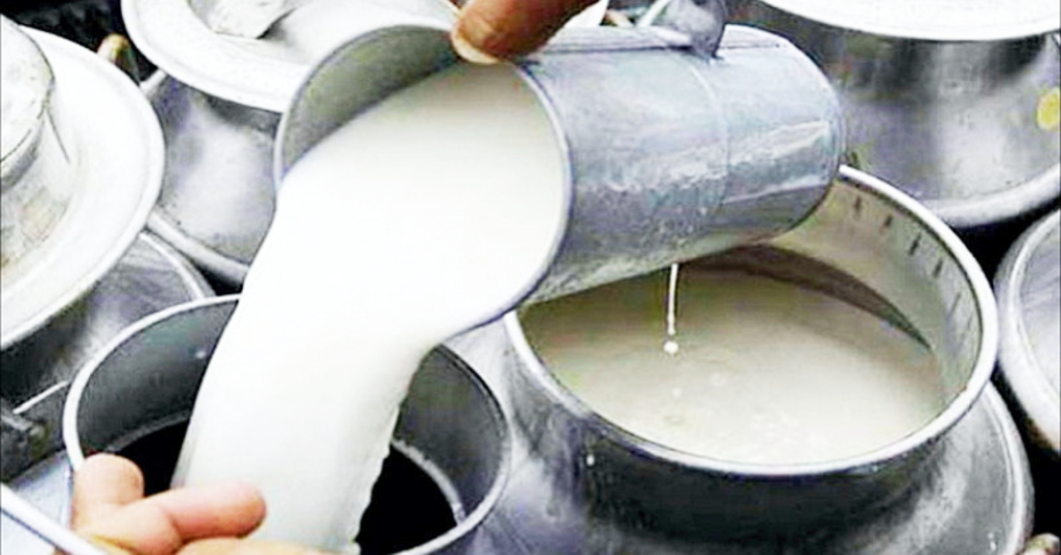 इलामका दुग्ध किसानले ६ महिनासम्म पाएनन्  दूधको भुक्तानी 