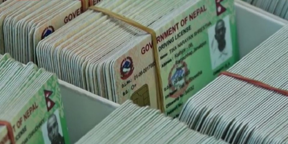 लाइसेन्स वितरणमा व्यापक अनियमितता, बाँडियो हजारौं अवैध लाइसेन्स