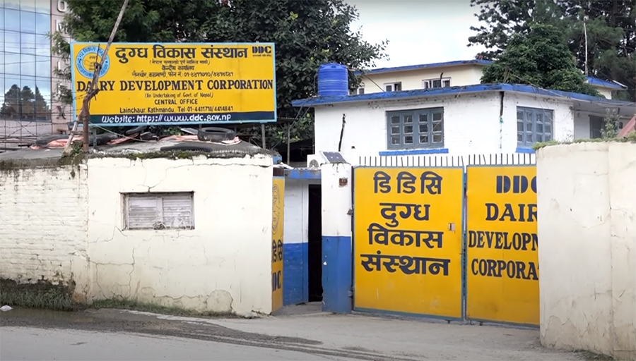 दुग्ध विकास संस्थानको क्षमता विस्तारका लागि प्रदेश सरकारसमक्ष प्रस्ताव