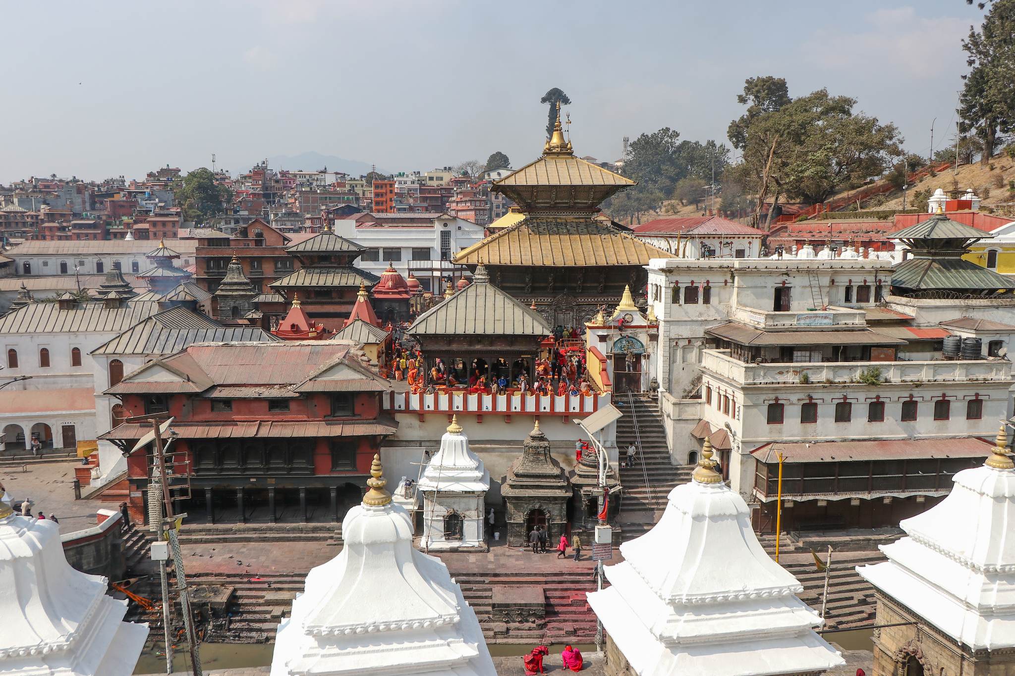 आजको राशिफल : २०८२ जेठ ११ गते आईतबार