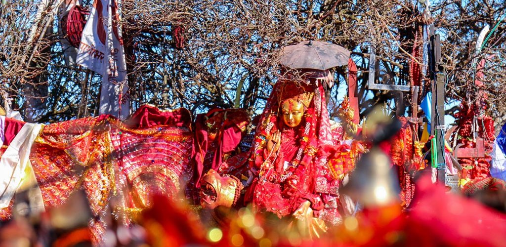 पाथीभरामा १६ लाख ५० हजारभन्दा बढी भेटी संकलन