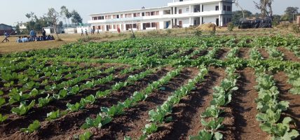 तरकारीमा विषादी प्रयोगबारे सचेत बन्दै किसान