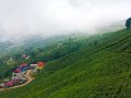 वार्षिक ७० लाख आम्दानी गर्दै कृषक नेम्वाङ वार्षिक ७० लाख आम्दानी गर्दै कृषक नेम्वाङ