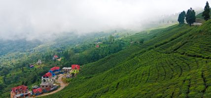 वार्षिक ७० लाख आम्दानी गर्दै कृषक नेम्वाङ