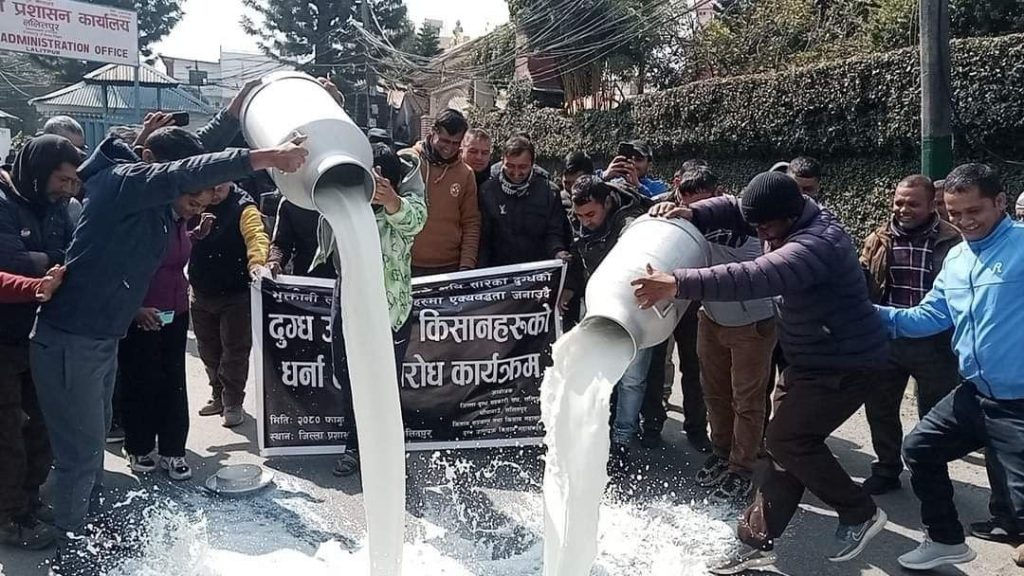 बक्यौता उठाउन दुग्ध किसान पनि सडकमा, राजधानीकेन्द्रित आन्दोलन गर्ने तयारी