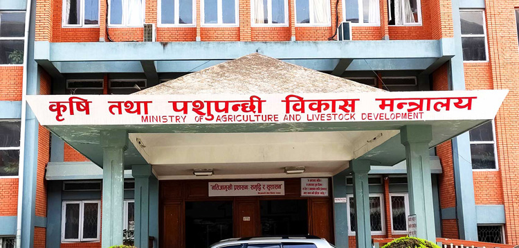 दुई महिनायता कृषि बीमा ठप्प,बीमा व्यवसायमा विश्वसनीयता नै गुम्ने खतरा