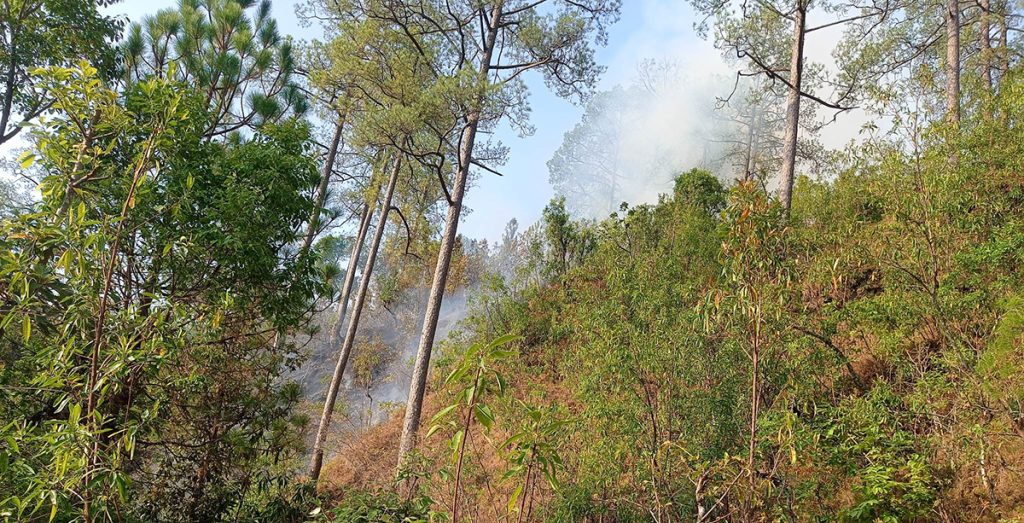 जुम्लाको तिला गाउँपालिका कुडारीमा आगलागी हुँदा एक जनाको मृत्यु