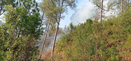 नवलपरासीमा आगलागी, बाह्र घर जले