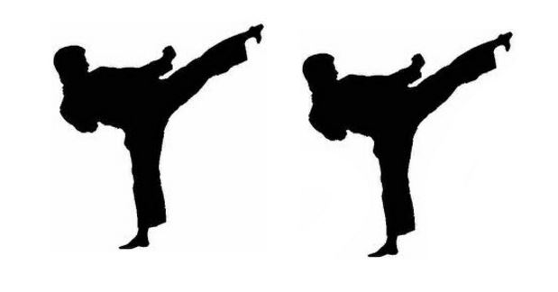 बाघ भैरव डोजोलाई वडाअध्यक्ष कप कराते प्रतियोगिताको उपाधि