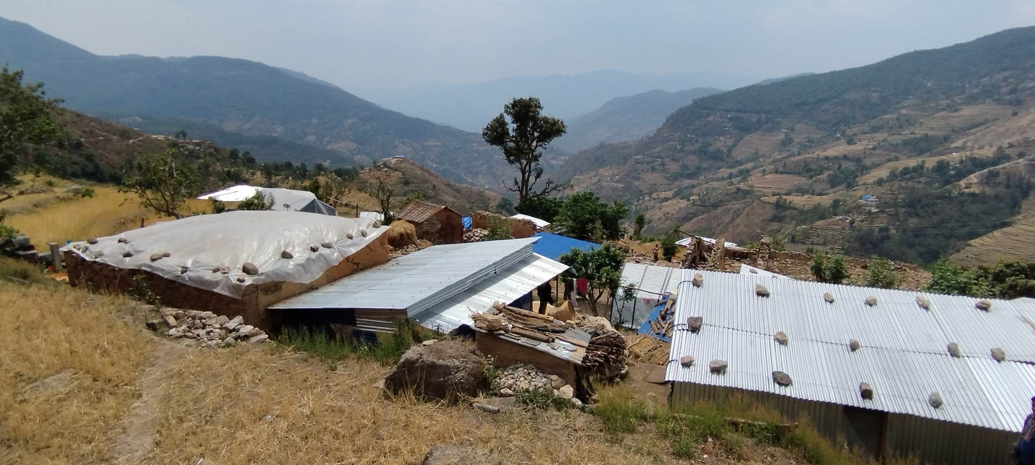 रेडक्रसद्धारा भूकम्पपीडितलाई अस्थायी आवास