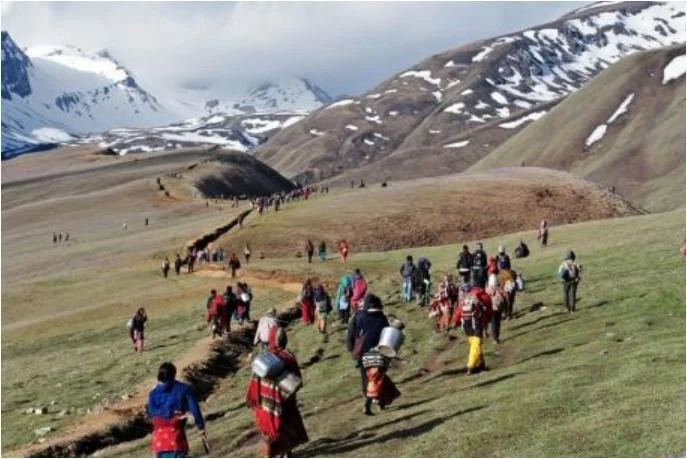 मनाङको नाम्के खर्कबाट यार्सागुम्बा सङ्कलन सुरु