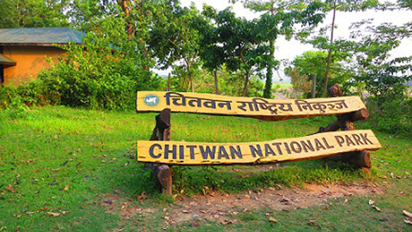 यसवर्ष चितवन राष्ट्रिय निकुञ्जमा आठ छावा थपिँदै
