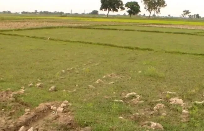 सार्वजनिक जग्गाको अतिक्रमण हटाइने