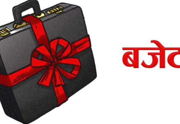 रौतहटका १८ स्थानीय तहमध्ये १५ वटा पालिकाले ल्याए बजेट