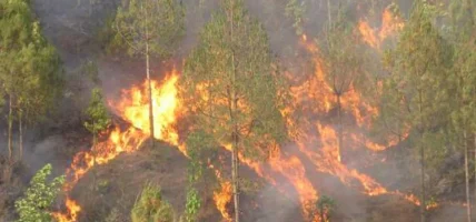 सुदूरपश्चिमको पन्ध्र प्रतिशत वन क्षेत्रमा डढेलो, चुरेमा नियन्त्रण चुनौतीपूर्ण