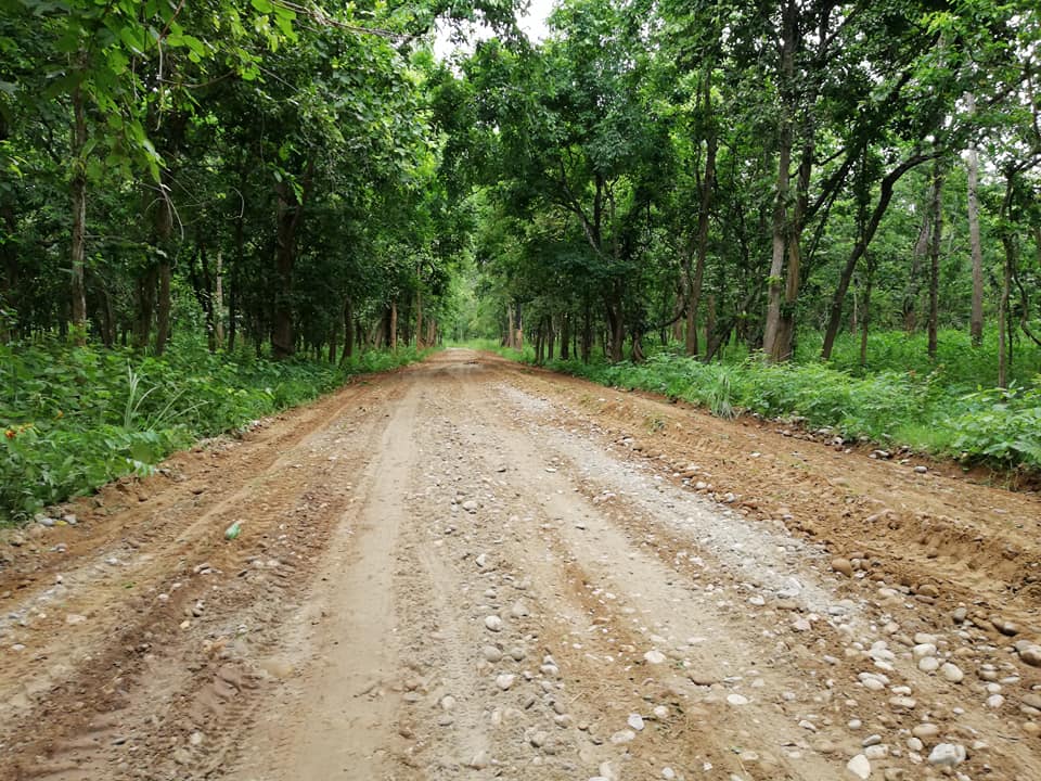 दक्षिण एसियामा वनः नेपाल दोस्रो स्थानमा