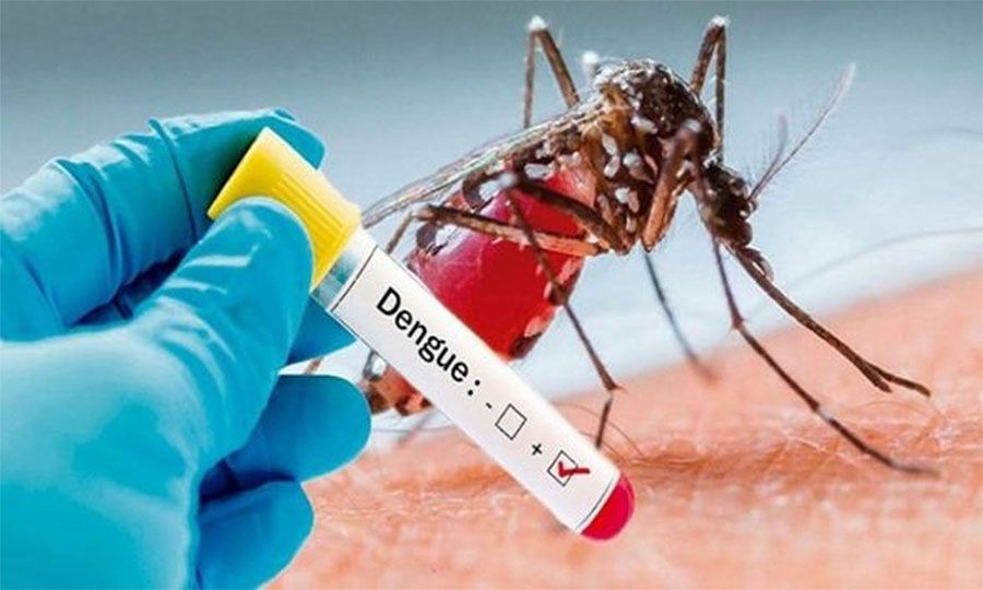 बागलुङका स्वास्थ्य संस्थामा डेङ्गी परीक्षण किट अभाव