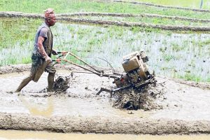 कृषिमा यान्त्रिकीकरण गर्न अनुदानमा कृषि औजार