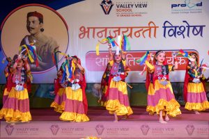 भ्याली भ्यु स्कुल अन्तरविद्यालय कविता प्रतियोगिता सम्पन्न