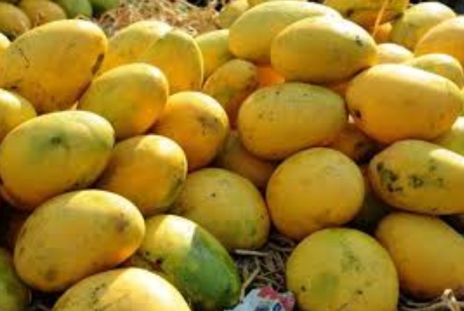 आँप खाने मात्रै होइन, अब अनुहारमा लगाएर छाला चम्किलो बनाउनुहोस्