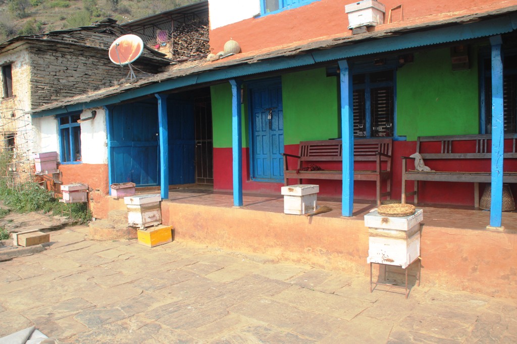 व्यावसायिक मौरीपालन गर्दै भोजपुर बैकुण्ठेका स्थानीय