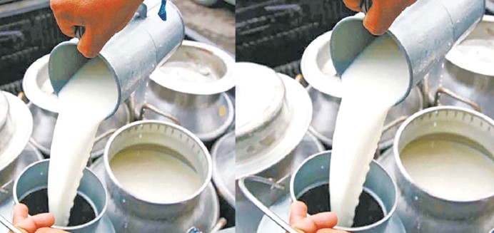 दशैंअघि दुग्ध किसानको सबै बक्यौता भुक्तानीमा सरकार असफल