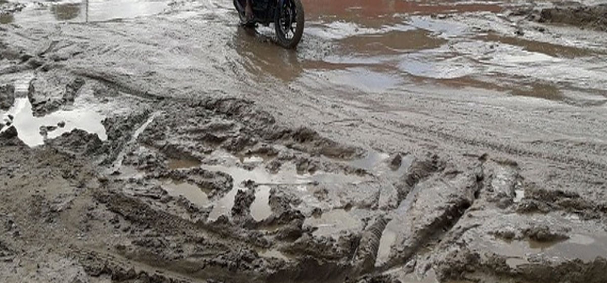 हिलाम्मे खेतजस्तै सडकको अवस्था , वडाध्यक्ष भन्दछन् ‘सडकका कारण जनता जोगाउनै कठिन भइसक्यो’