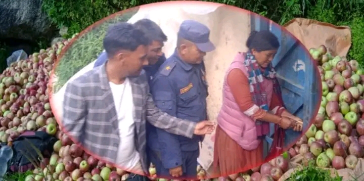 काँचो स्याउ सङ्कलन गर्ने व्यापारीका गोदाममा ताला