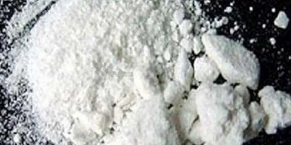 लाटभियन नागरिकले खेलौनामा लुकाएर ल्याएका थिए छ किलो कोकिन