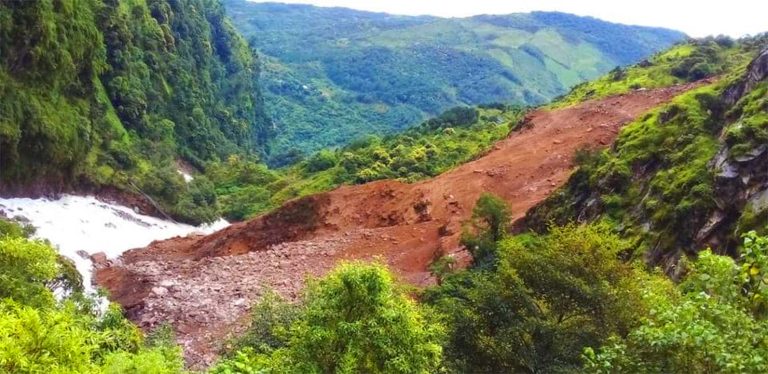 बाढी, पहिरोलगायतका विपद्मा परी १९५ को मृत्यु