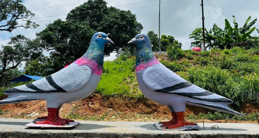 लमजुङको नयाँ पर्यटकीय गन्तब्य जोडी परेवा
