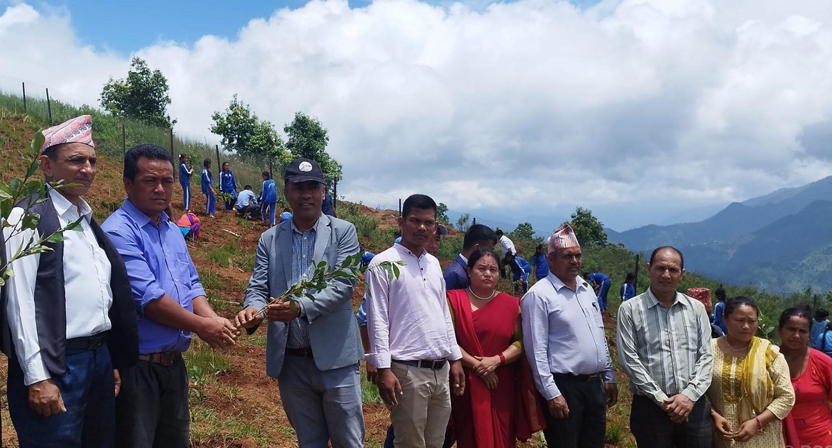 जीविकोपार्जनसँग पर्यटनलाई जोड्न तनहुँमा चियाखेती