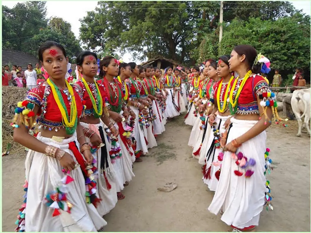 थारू बस्तीमा माघीको खुसीयाली