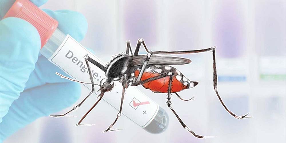 बागलुङका स्वास्थ्य संस्थामा डेङ्गी परीक्षण किट अभाव