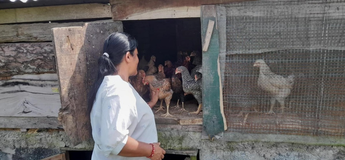 कृषि फार्मबाट वार्षिक १२ लाख आम्दानी